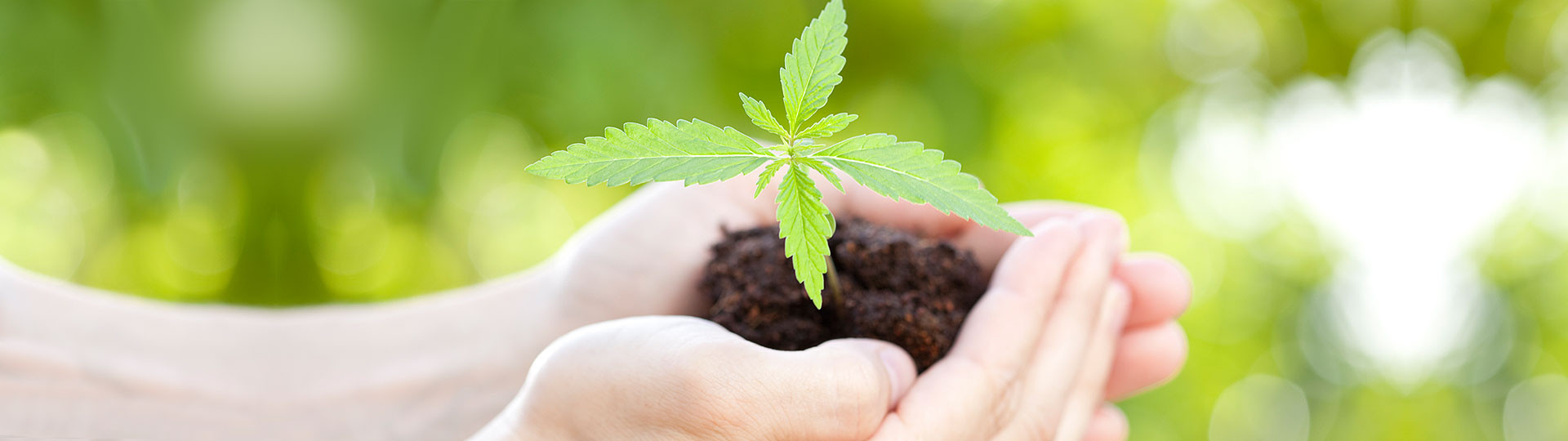 Top Investment Idea: Seed to Sale