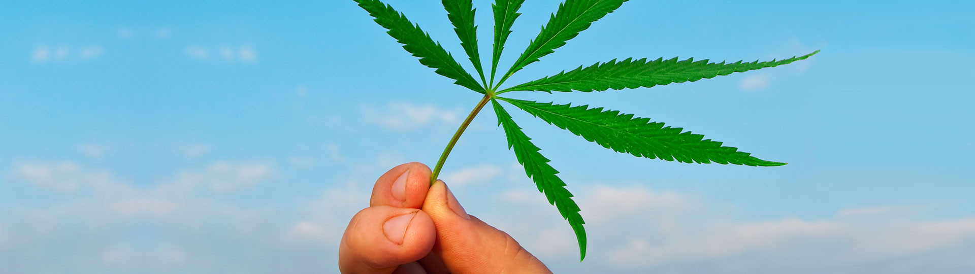 Cannabis Big Data New Frontier Joins Forces  with Private Equity Phyto Partners