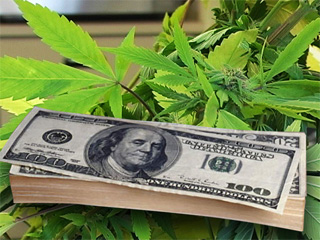Majority of Cannabis Businesses are Profitable